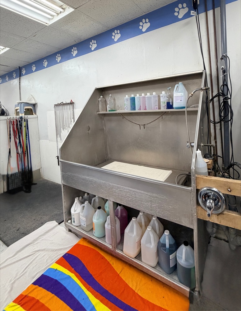 Grooming tables and stations at Brushcuts in Guelph