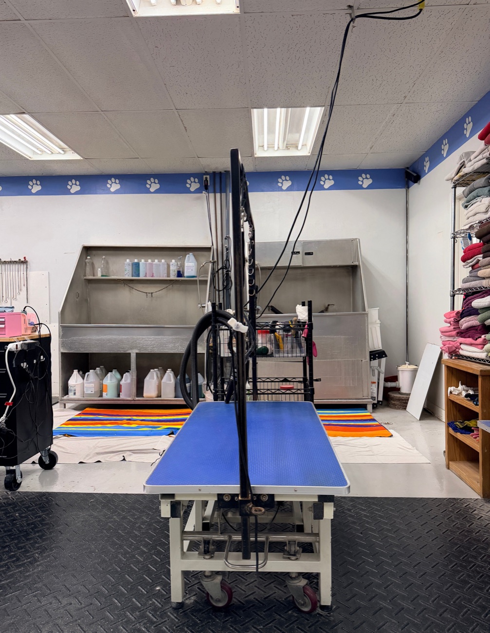 Inside the Brushcuts grooming salon on Dawson Road in Guelph