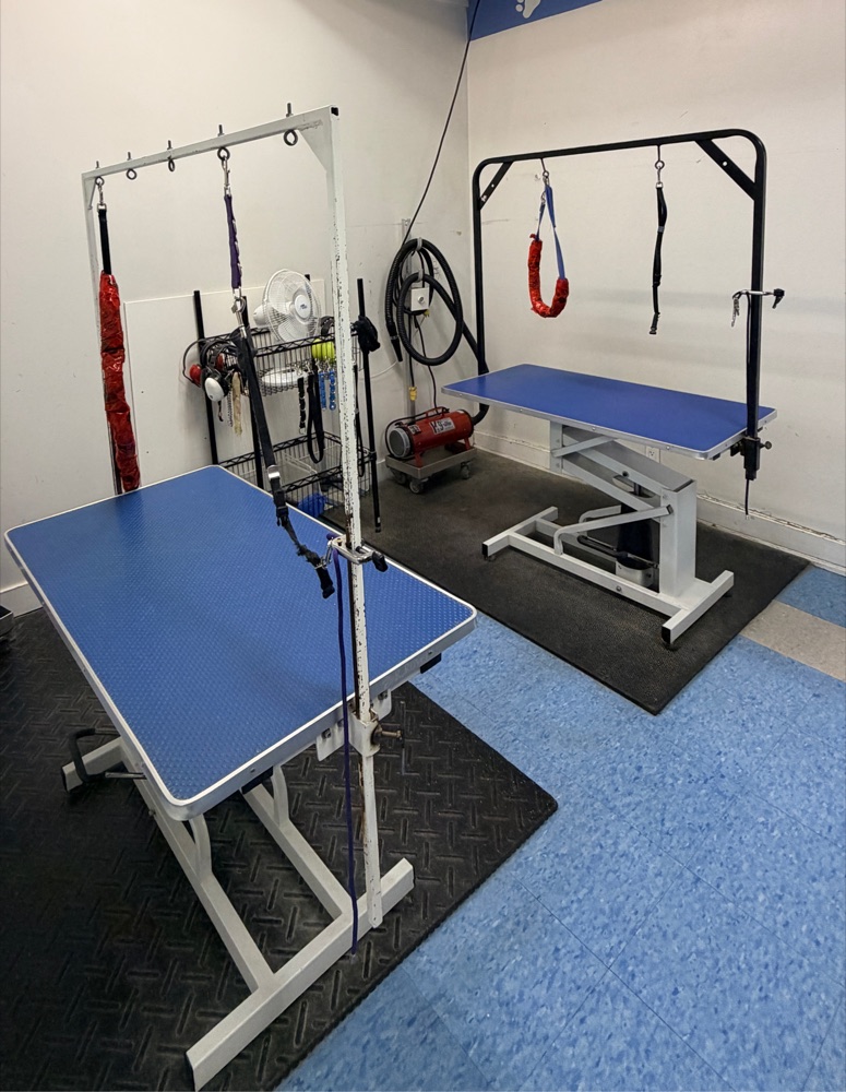 The grooming room at Brushcuts in Guelph