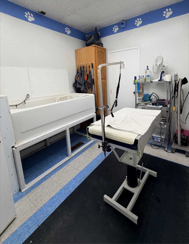 A bathing tub and grooming table at Brushcuts