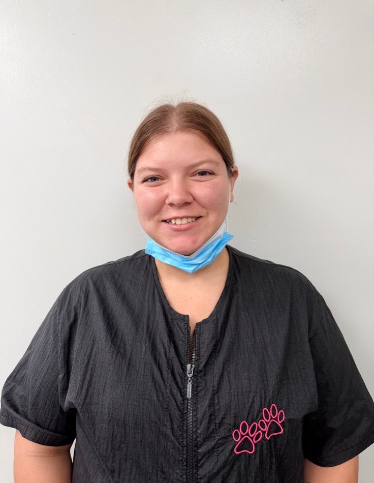 A groomer at Brushcuts