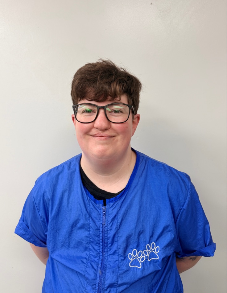 A groomer at Brushcuts