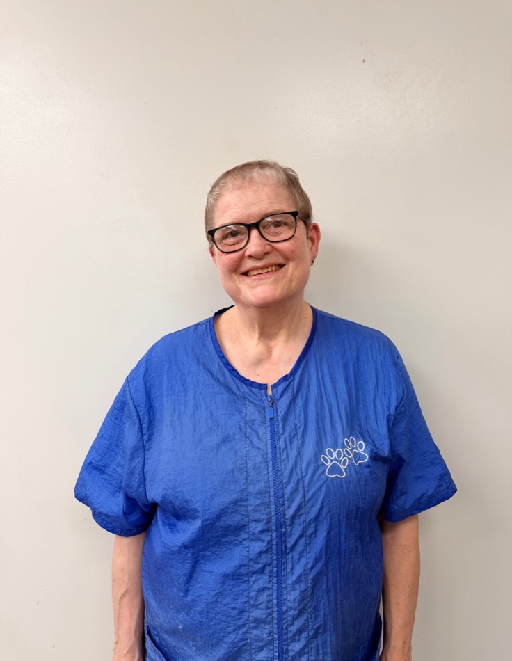 Sue, head groomer and co-owner of Brushcuts